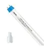 Philips LED Putki T8 CorePro (EM/Mains) High Output 8W 900lm - 840 Kylmä Valkoinen | 60cm - Korvaa 18W